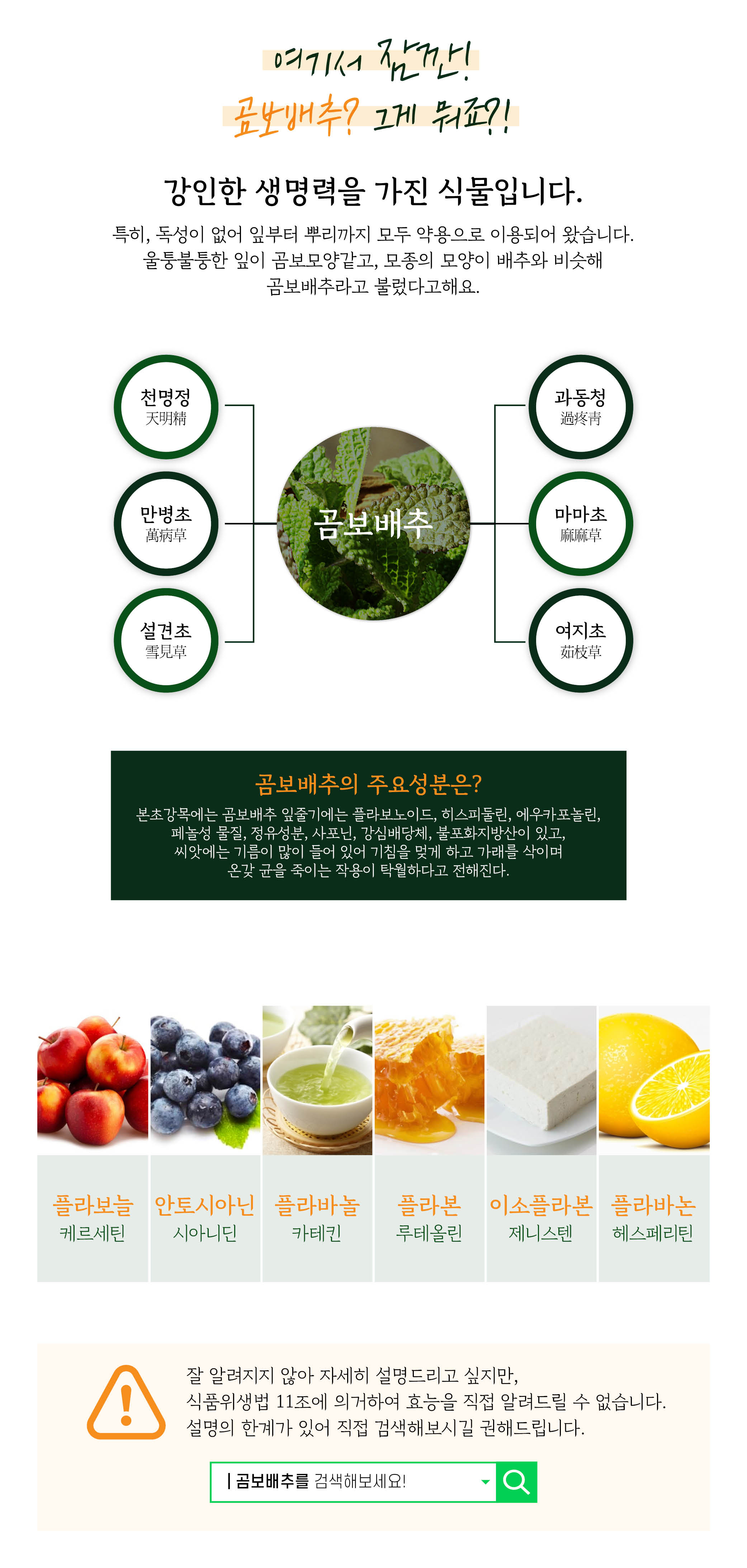 %ea%b3%b0%eb%b3%b4%eb%b0%b0%ec%b6%94 %ec%8b%9c%ec%a6%8c2 08244